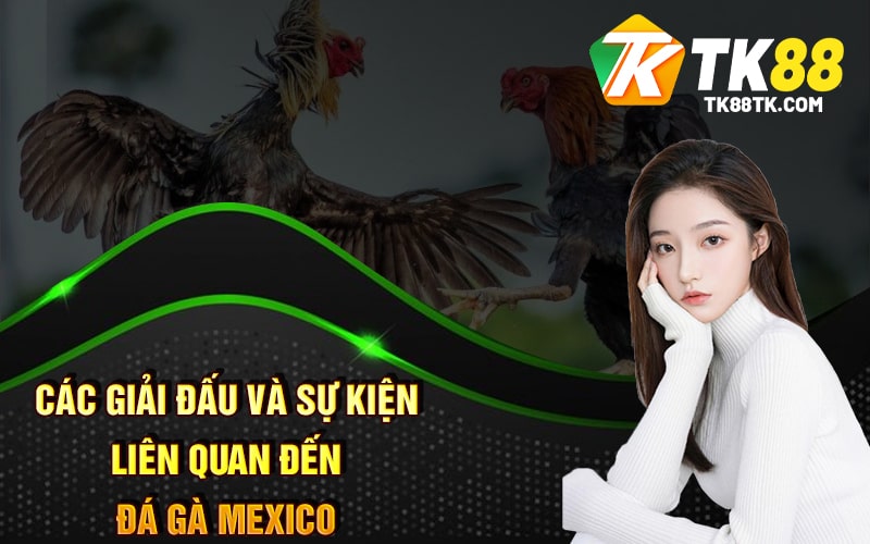 Đá Gà Mexico Là Gì? Kích Thích - Hồi Hộp Độc Đáo Của Chiến Kê 3 Các giải đấu và sự kiện liên quan đến Đá Gà Mexico