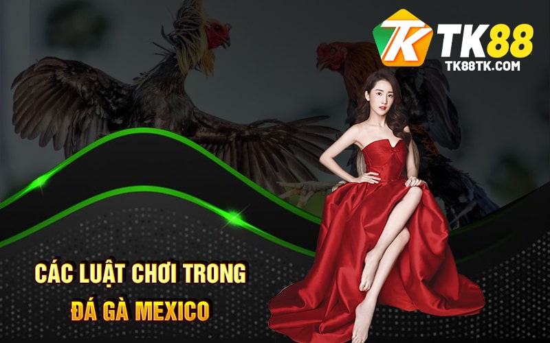 Đá Gà Mexico Là Gì? Kích Thích - Hồi Hộp Độc Đáo Của Chiến Kê 2 Các luật chơi trong Đá Gà Mexico