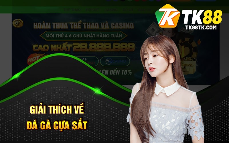 Đá Gà Cựa Sắt - Cá Cược Gà Đá Trực Tuyến Online Hiện Nay 1 Giải Thích Về Đá Gà Cựa Sắt