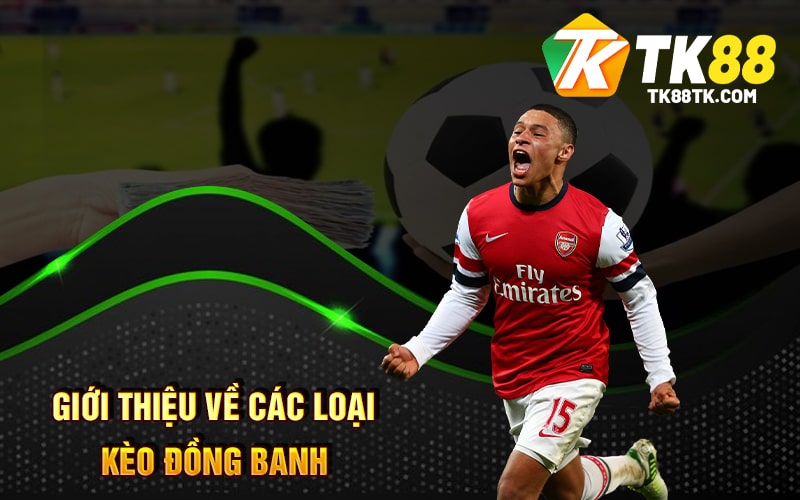 Kèo Đồng Banh - Hướng Dẫn Chơi Các Loại Kèo Mới Nhất 2024 1 Giới Thiệu Về Các Loại Kèo Đồng Banh