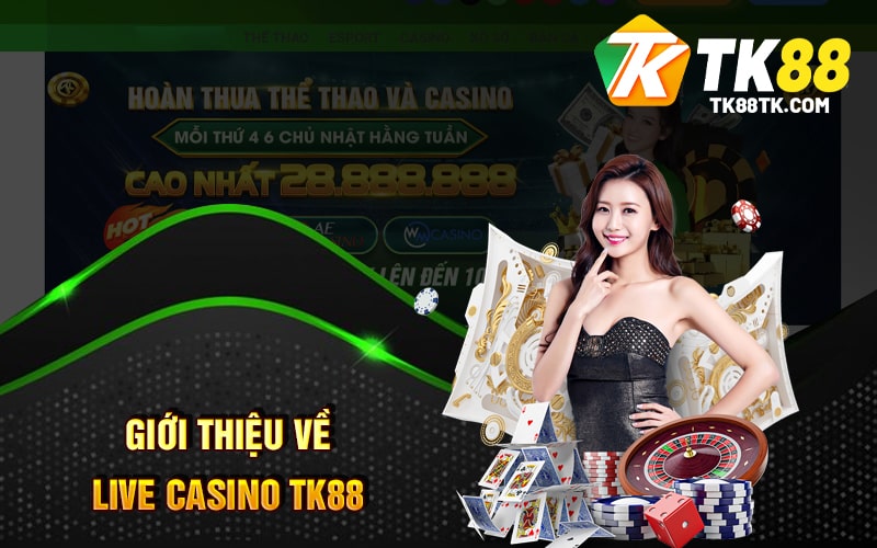 Live Casino Tk88 - Tính Năng - Đánh Giá - Trò Chơi Và Ưu Đãi 1 Giới Thiệu Về Live Casino TK88