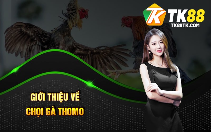 Chọi Gà Thomo - Tận Hưởng Cá Cược - Sự Kiện Hấp Dẫn 1 Giới thiệu về Chọi Gà Thomo