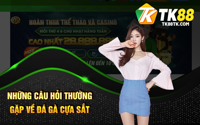 Đá Gà Cựa Sắt - Cá Cược Gà Đá Trực Tuyến Online Hiện Nay 3 Những Câu Hỏi Thường Gặp Về Đá Gà Cựa Sắt