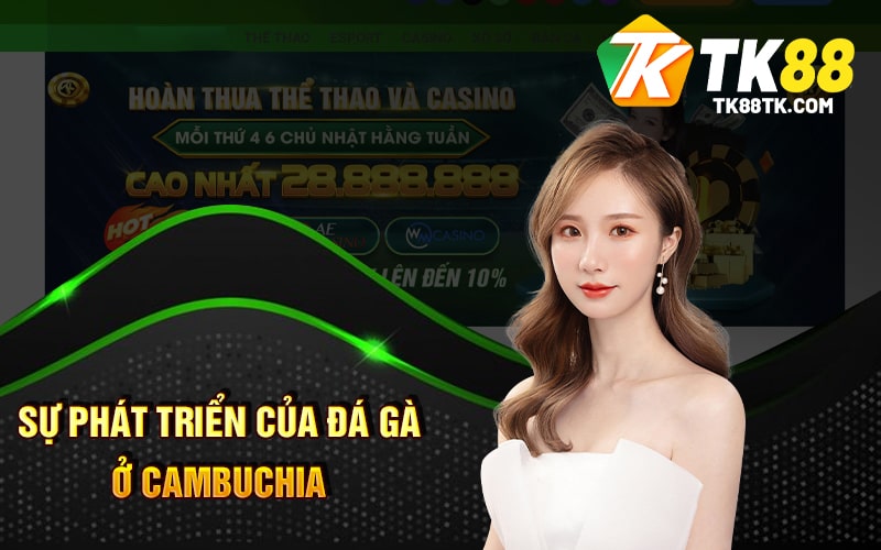 Đá Gà Cambuchia - Tận Hưởng Giấy Phút Căng Thẳng Của Chiến Kề 3 Sự Phát Triển Của Đá Gà Ở Cambuchia